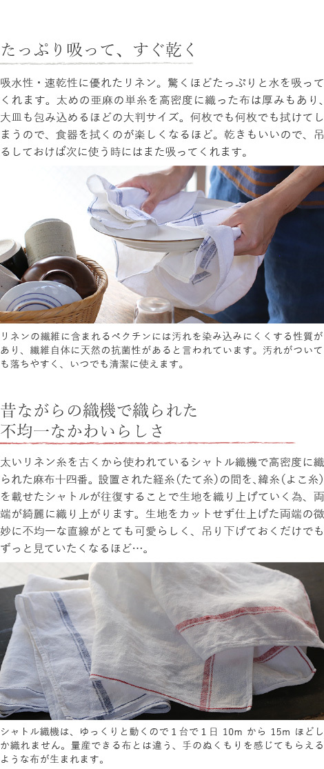 滋賀県 林与