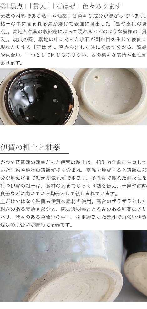 東屋 土瓶 石灰 伊賀焼 日本製 急須 陶器 : azm-036 : がらんどう 手