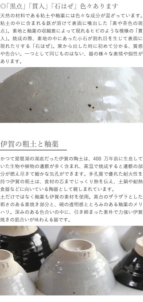 東屋 ご飯茶碗 大 志野 伊賀焼 日本製 陶器 : がらんどう 手仕事品と