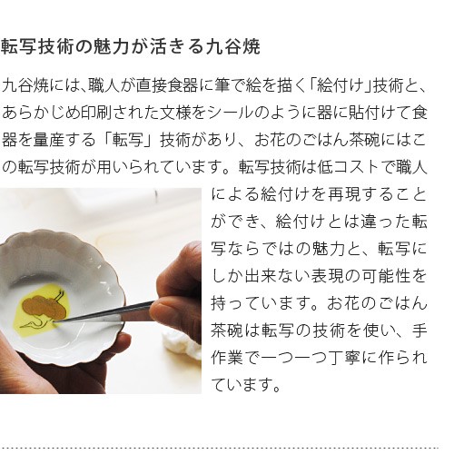クタニシール お花のご飯茶碗 藤