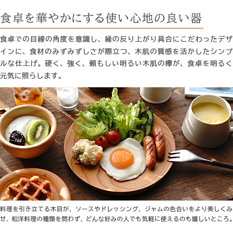 プレート 和食器