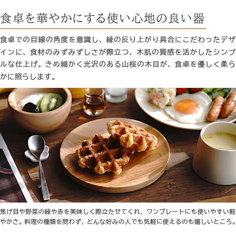 プレート 和食器