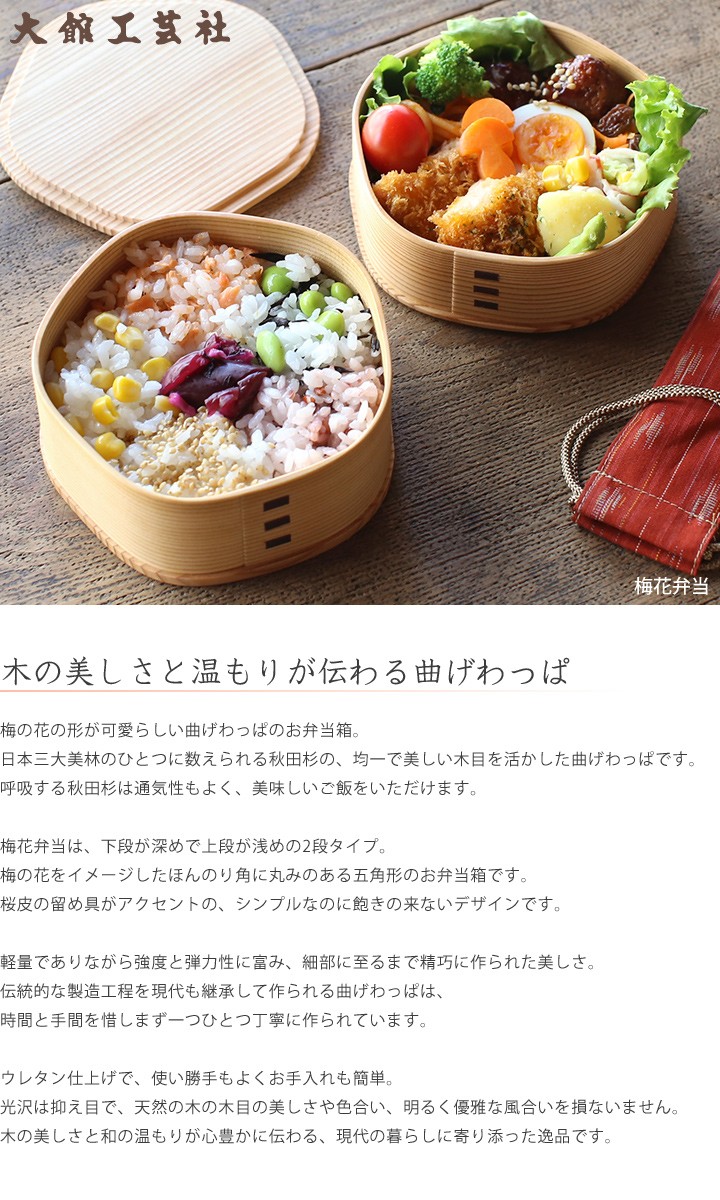 新版 曲げわっぱ 【梅花弁当】 大館工芸社 弁当用品 - kintarogroup.com