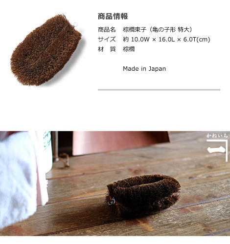 棕櫚束子 特大