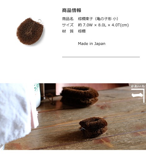 棕櫚束子 小