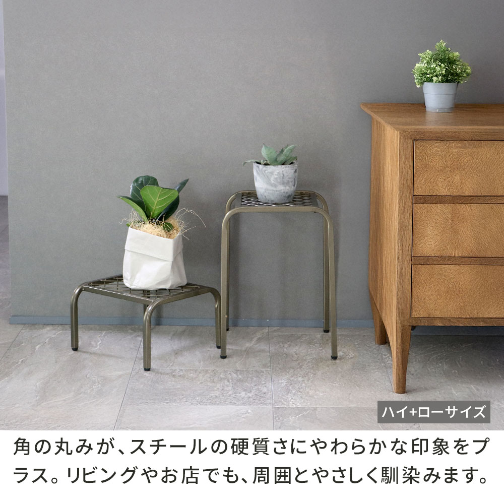 フェイジョア トピアリー仕立て スタンド造り フェイジョア トピアリー