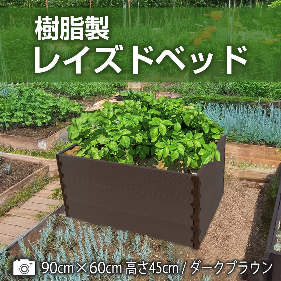 レイズドベッド