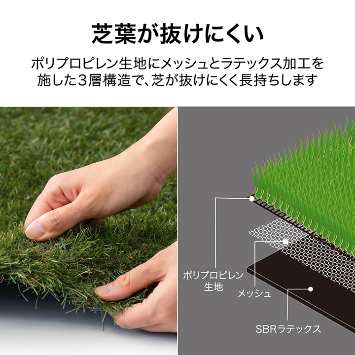 タカショー - 爆買 渦巻形 即物的 人工芝 2m×10m 押し並べて印字機 芝丈30粍 芝草つや消し 庭 露天 ガーデニング バス発着場 設定 ドッグラン /中型
