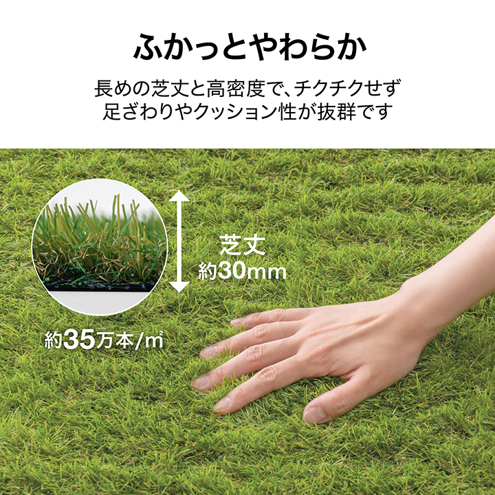 タカショー - 爆買 渦巻形 即物的 人工芝 2m×10m 押し並べて印字機 芝丈30粍 芝草つや消し 庭 露天 ガーデニング バス発着場 設定 ドッグラン /中型