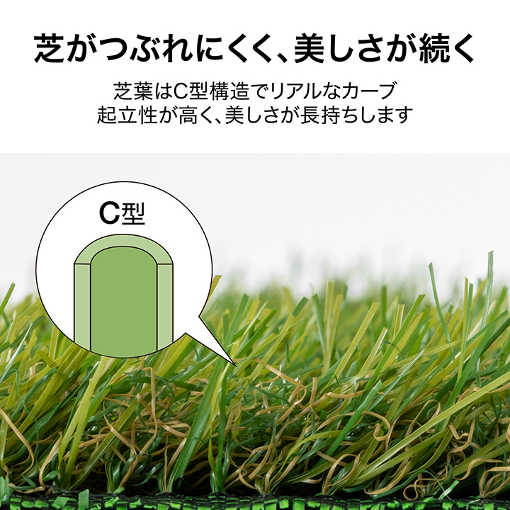 新品⭐️あこがれの芝がある庭に！　タカショー リアル人工芝 1×10m 芝丈3㎝ タカショー ロール リアル 人工芝 3m×10m 防草タイプ 芝丈30mm 芝生
