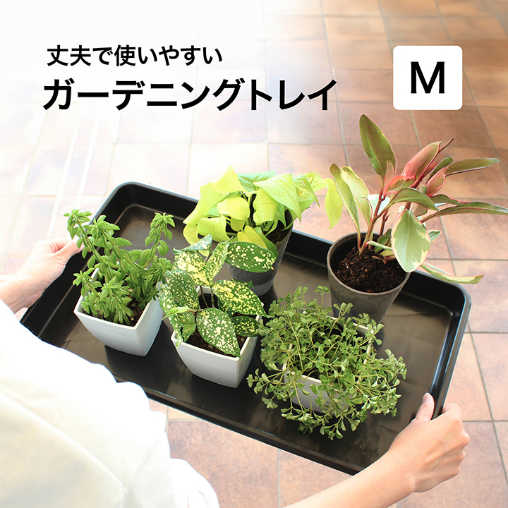 タカショー 爆買 ツール トレー 収納 トレイ ケース 庭 ガーデン
