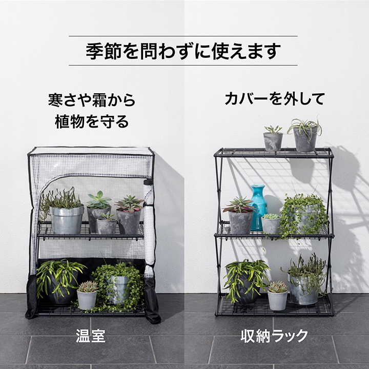 タカショー ビニール温室 ビニールハウス 育苗 寒冷 霜 菜園 パンタグ