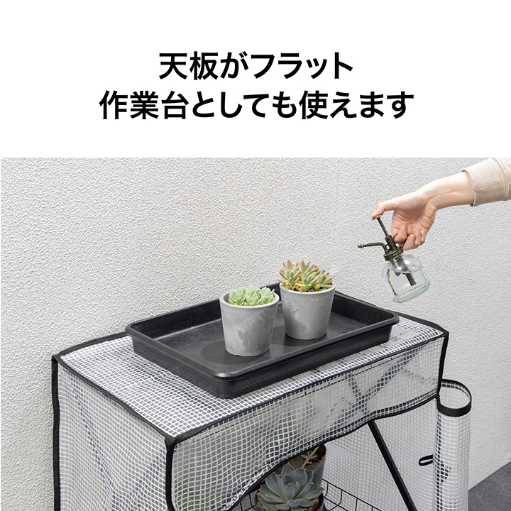 タカショー ビニール温室 ビニールハウス 育苗 寒冷 霜 菜園 パンタグ