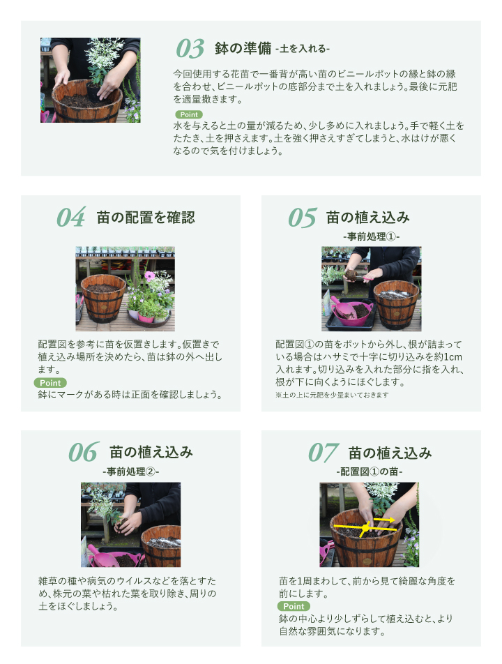 タカショー ＼【期間限定】2026/1/15まで／寄せ植え 苗 花 花苗