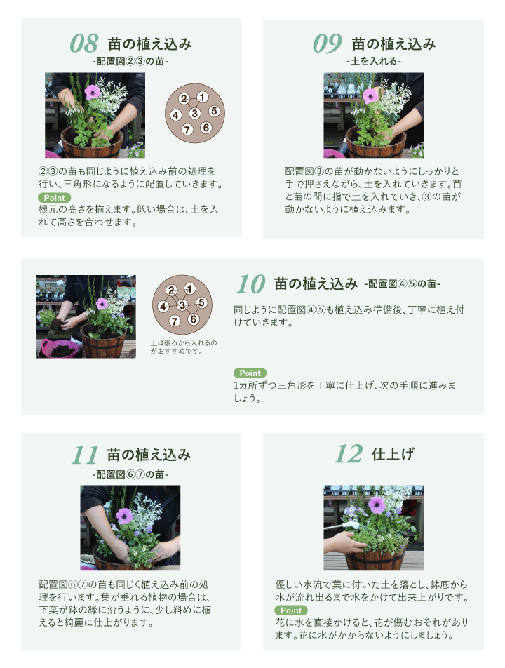 タカショー ＼【期間限定】2026/1/15まで／寄せ植え 苗 花 花苗