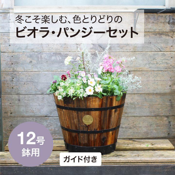 タカショー ＼【期間限定】2026/1/15まで／寄せ植え 苗 花 花苗