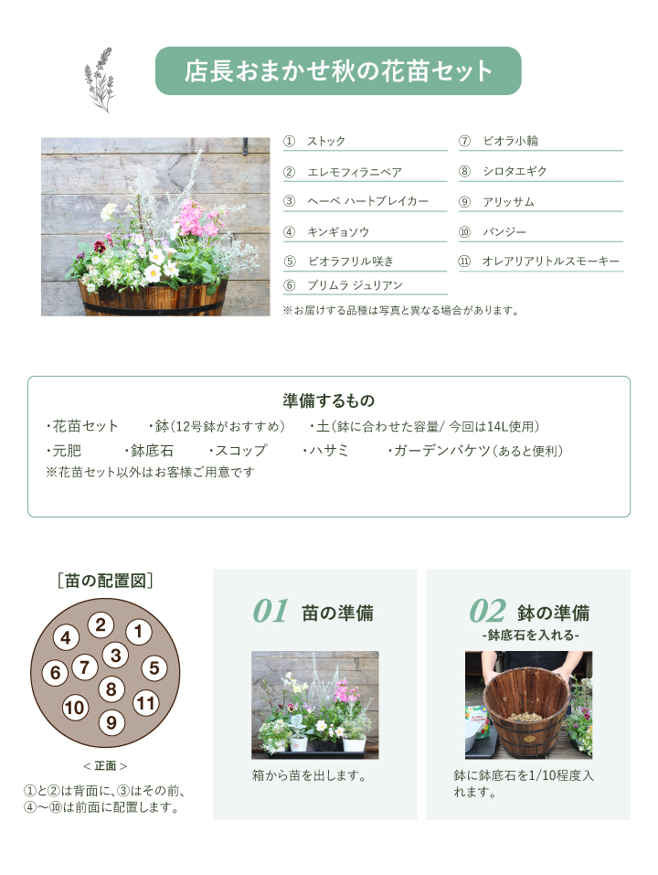 タカショー ＼【期間限定】2026/1/15まで／寄せ植え 苗 花 花苗