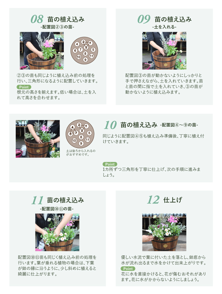 爆買 タカショー ＼【期間限定】2026/1/15まで／寄せ植え 苗 花 花苗