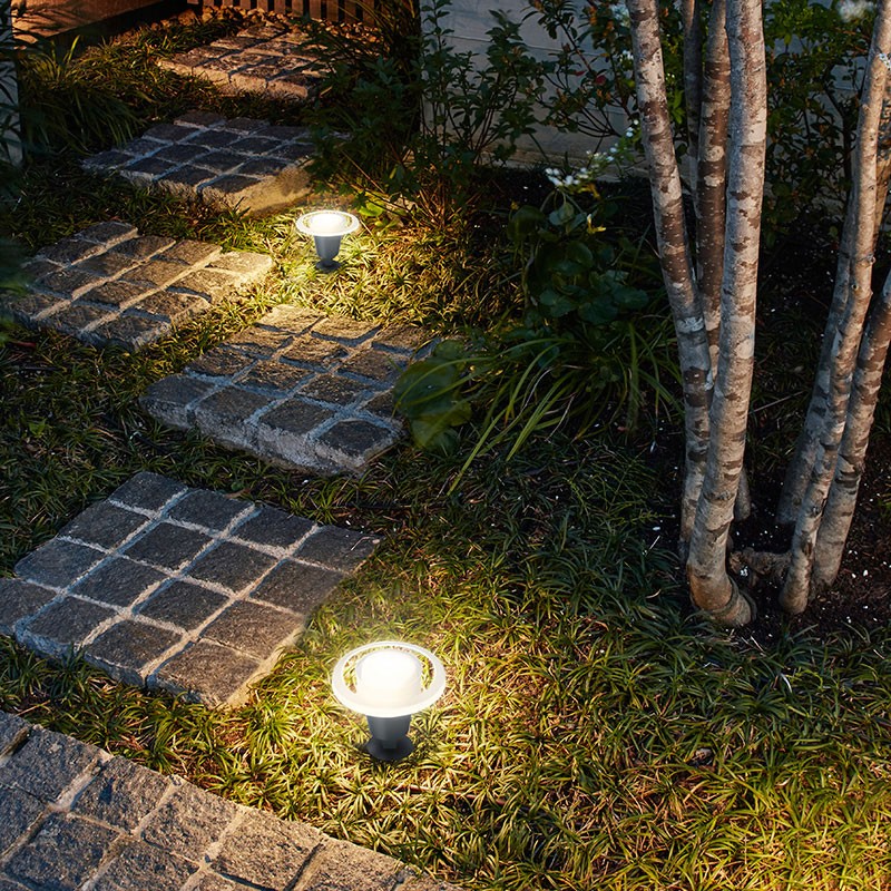 ポイント10倍    ガーデンライト LED 明るい LEDIUS HOME 木 アップライト   ひかりノベーション 木のひかり 基本セット  A - 19