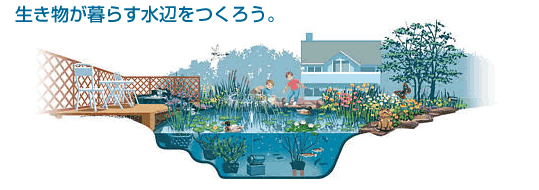 生き物が暮らす水辺をつくろう。