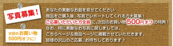 写真募集! あなたの素敵なお庭を見せてください。