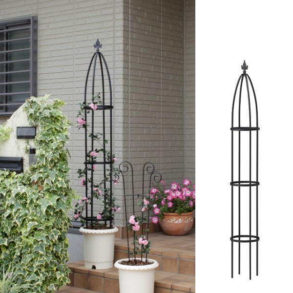 オベリスク バラ クレマチス 誘引 つる性 庭 ベランダ テラス