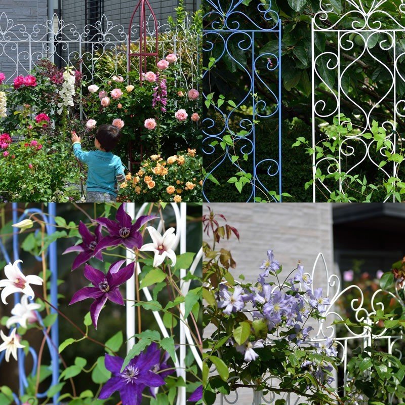 garden_36917100_2.jpg