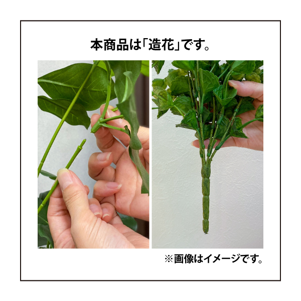 タカショー 人工観葉植物 壁面緑化 造花 業務用 施設 オフィス 店舗 装飾 フェイク / 壁面アレンジ 45×45cm フレームなし Fカラジューム /小型の画像