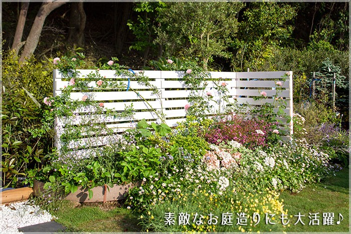 タカショー ラティス フェンス 木 目隠し 目かくし 境界 DIY