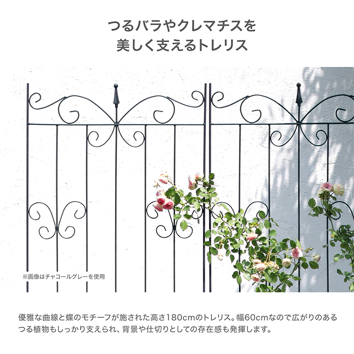 タカショー トレリス 誘引 バラ GARDEN STORY Series / ガーデン 