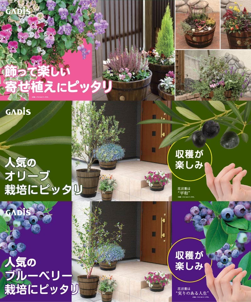 鉢 プランター ポット 天然 木 ガーデニング 菜園 寄せ植え タカショー / ウッドバレルプランター 浅型M /小型 : 32435400 :  青山ガーデン ヤフー店 - 通販 - Yahoo!ショッピング