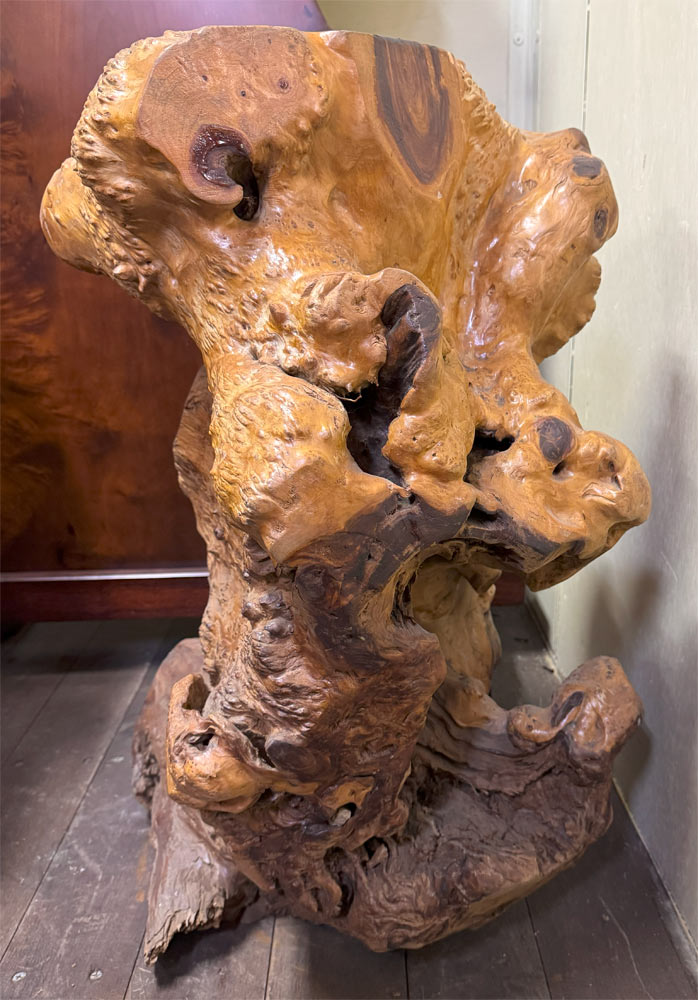 送料無料 自然木 楠 木の根 飾り台 展示品 オブジェ H75cm 天然木 置物