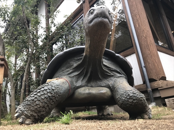 【激レア】カメの置物、おしゃれなオブジェ、超リアルフィギュア【非売品】 置物 動物 可愛い リアル カメの置物 Aタイプ かめオブジェ 亀