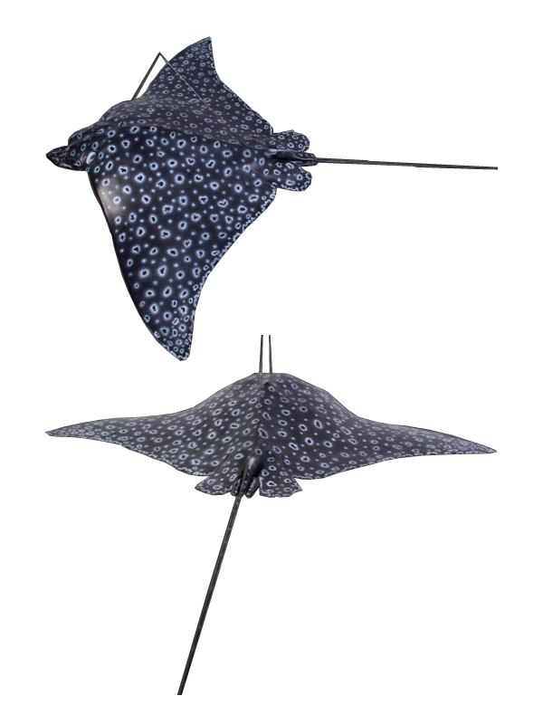 fr100060-3.jpg