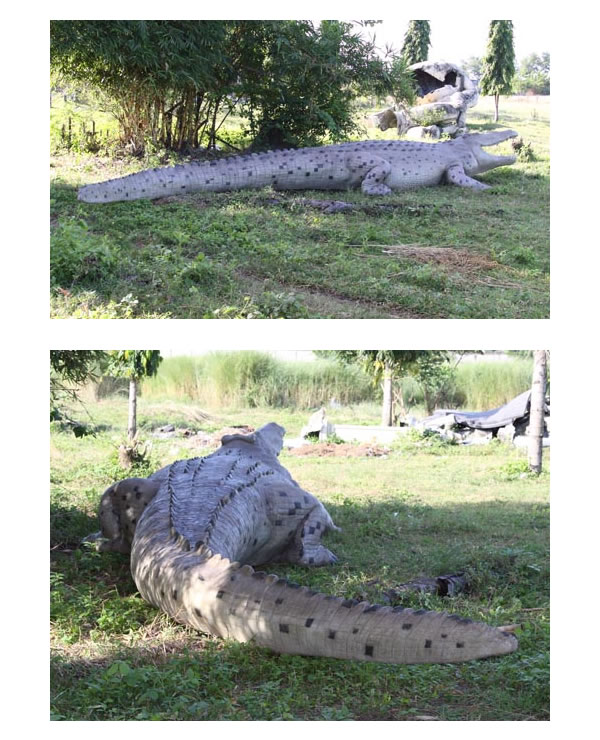 61JkXZcLG6L._UF894,1000_QL80_.jpg