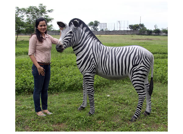 しまうま エコポニー アミューズメント しまうまシーズン2 ラングスジャパン
