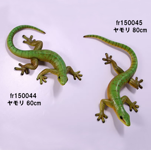 fr150044-5.jpg