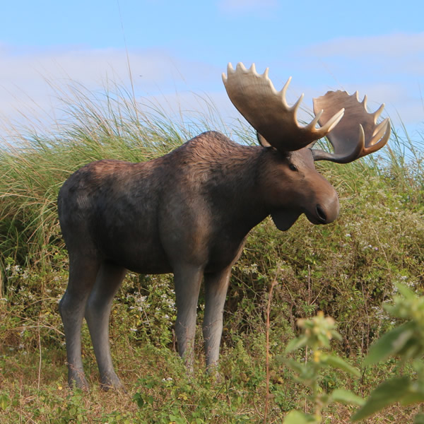 ヘラジカアート(moose、大きい、正方形) maxresdefault.jpg?sqp=-