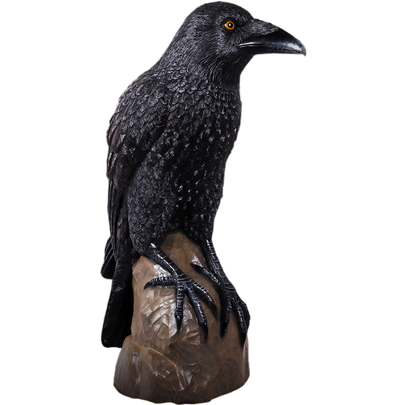 置物　野鳥コレクション Amazon | PAEFIU 猛禽類最強 鷲 ワシ 鷹 置物 ミスターイーグル