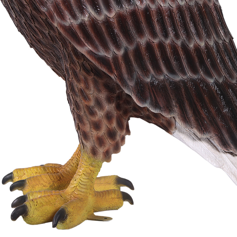 大きなハクトウワシ アメリカンイーグル 猛禽類 鳥 実物大 リアル