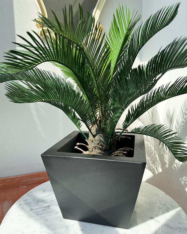  designer's planter 