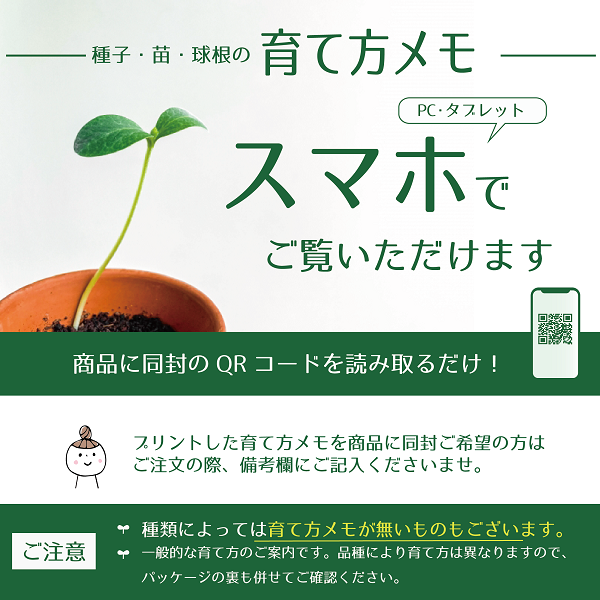 【種子】鉢植えミニトマト レジナ サカタのタネ｜gardeningivy｜02