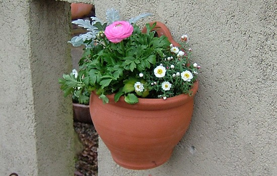 ウィッチフォード 植木鉢 壁掛けタイプ ウォールポット ラウンド