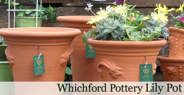 ウィッチフォード 植木鉢 ハンドルリリーポット 直径31cmサイズ Whichford Pottery : wf-747 : ガーデンマート  Yahoo!店 - 通販 - Yahoo!ショッピング