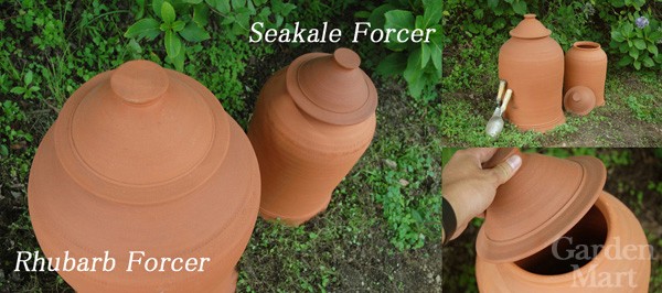 ウィッチフォード 植木鉢 シーケールフォーサー 直径32cmサイズ