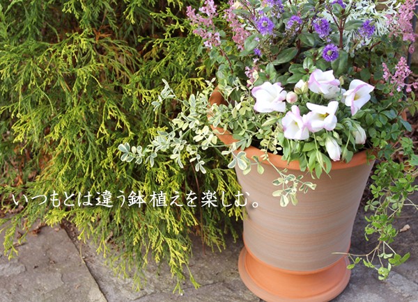 ウィッチフォード 植木鉢 カムデン アーン 直径30cmサイズ Whichford