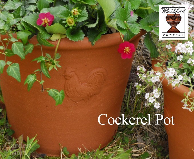 Whichford Pottery ウィッチフォード植木鉢 プレゼント応募対象】 ウィッチフォード 植木鉢 カントリーポット 直径