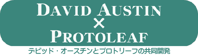 プロトリーフ デビッド・オースチン社 DAVID AUSTIN社 との共同開発バラの専用土 ローズソイル １０リットル  :pl-078104:ガーデンマート Yahoo!店 - 通販 - Yahoo!ショッピング