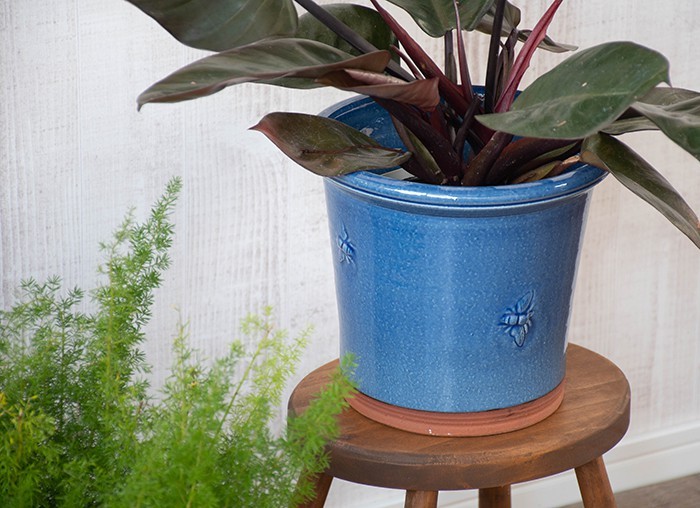 ウィッチフォード 植木鉢 グレイズド アームスコットポット 直径20cm