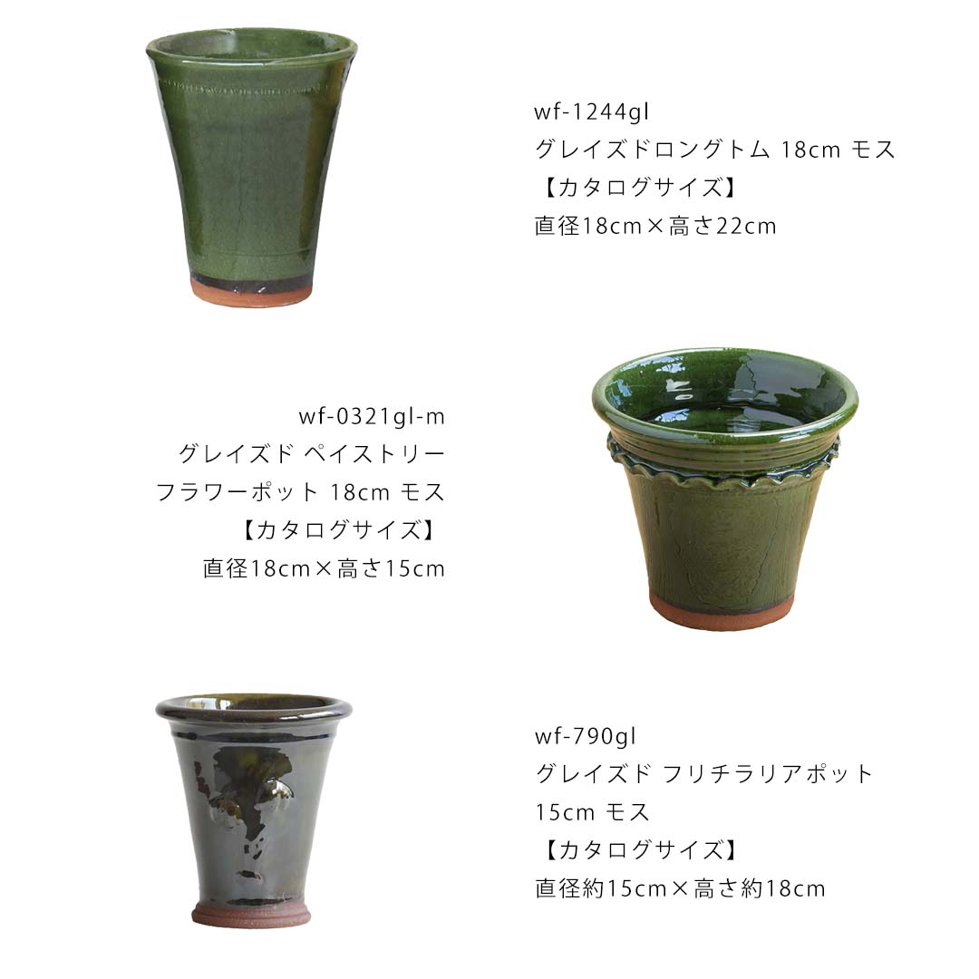 Whichford ご褒美プラン モス (通常の8%OFFにて在庫限りのセット販売) ※在庫限り｜gardenmart｜03